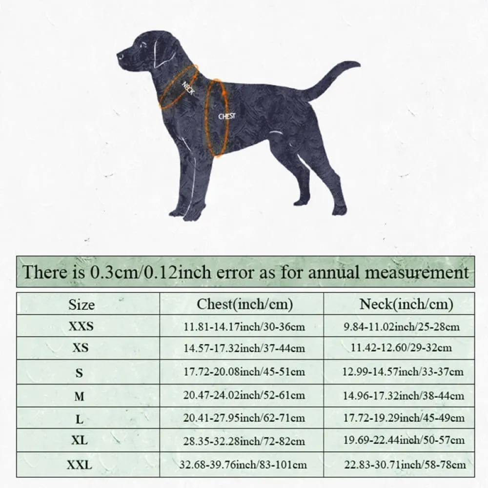 Cool in Summer & Warm in Winter Vest Clothes for Dog