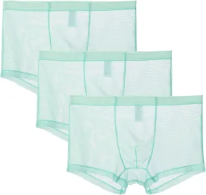 JEsilunmaMY Mens Mesh Mid Waist Boxer Briefs Solid Color Stretch Breathable Pouch Underwear See Through Thin Sexy Panties
