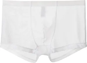 JEsilunmaMY Mens Mesh Mid Waist Boxer Briefs Solid Color Stretch Breathable Pouch Underwear See Through Thin Sexy Panties