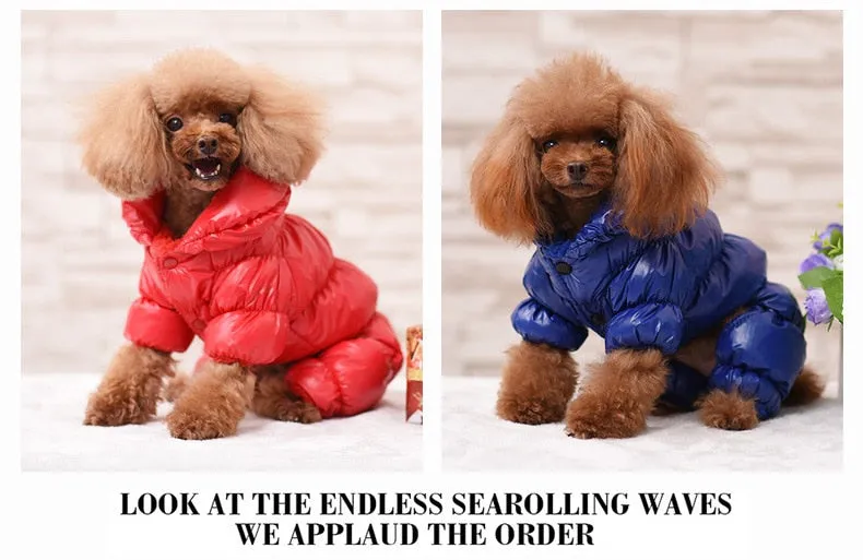 Winter Super Warm Waterproof Down Jacket For Small Dogs